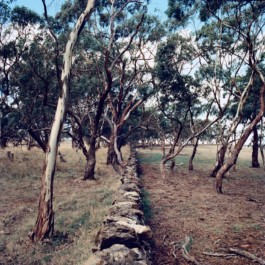 Jason Lowe